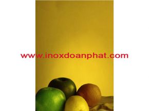 8k mirror stainless steel plate gold / titanium